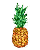 pineapple